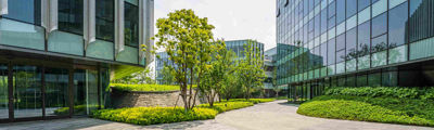 Naviate Landscape