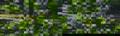 Naviate Site & Landscaping